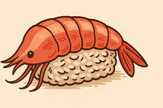 Illustration of Suchi, ebi