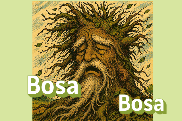 Old tree with wild, rough branches