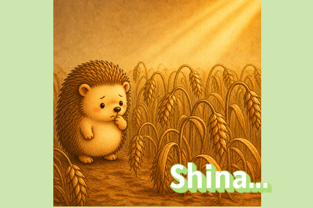 Shina Illustration